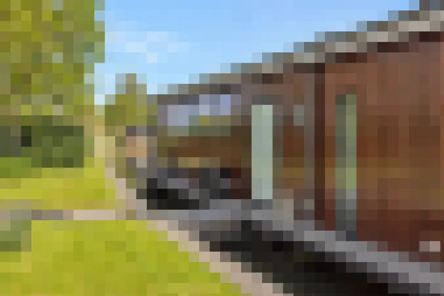 Nigtevechtseweg 134 ws Vreeland thumbnail 66