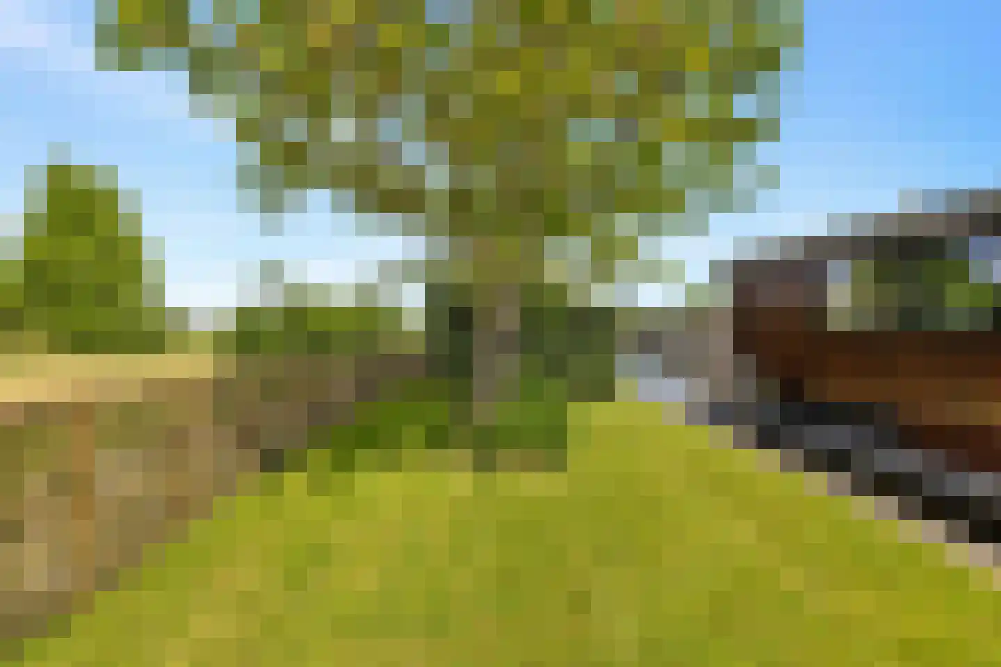 Nigtevechtseweg 134 ws Vreeland thumbnail 7