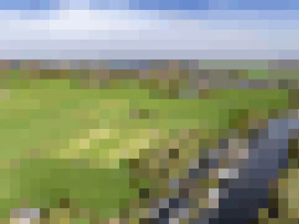 Nigtevechtseweg 136 ws Vreeland thumbnail 10
