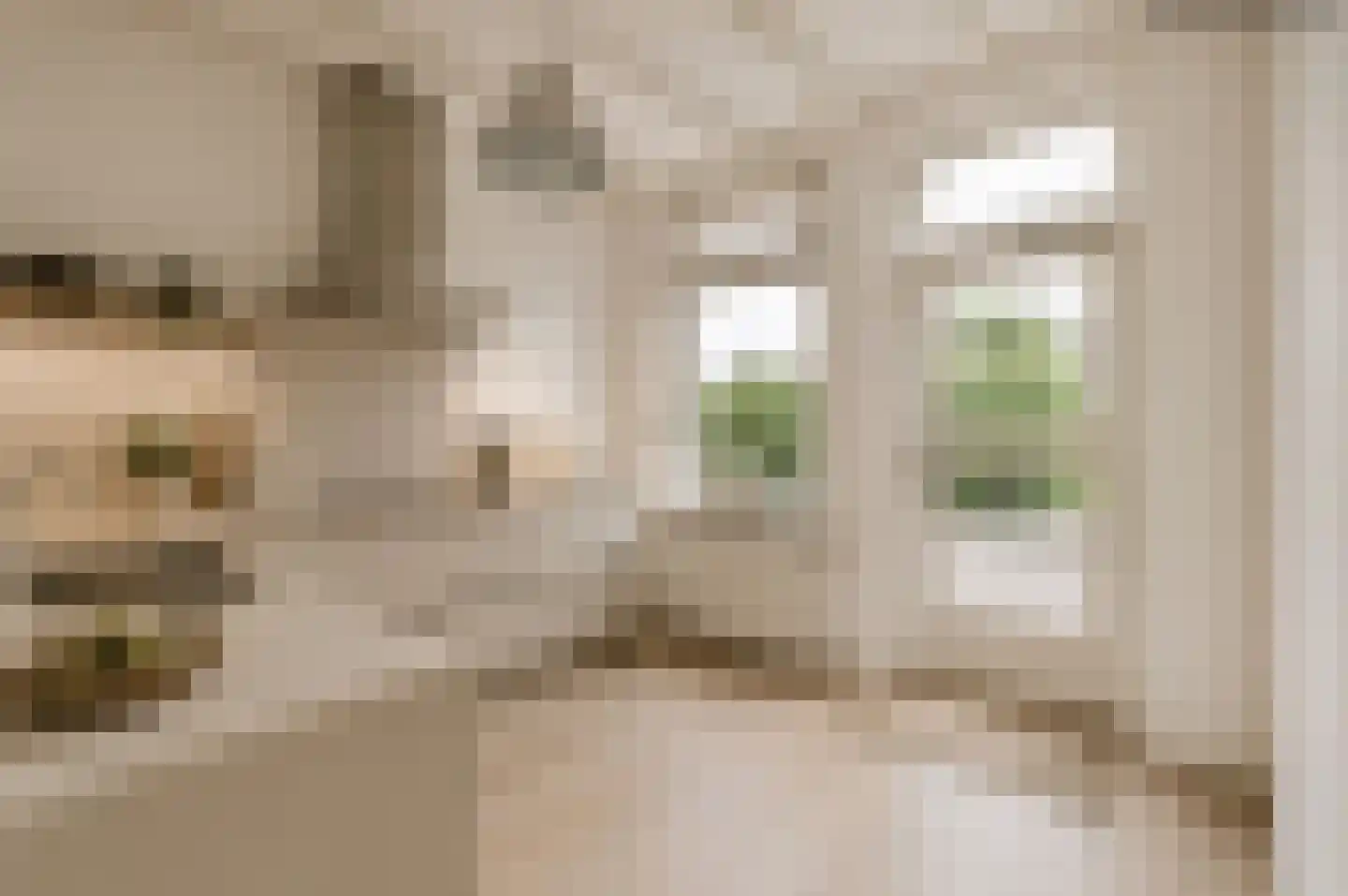 Nigtevechtseweg 19 Vreeland thumbnail 13
