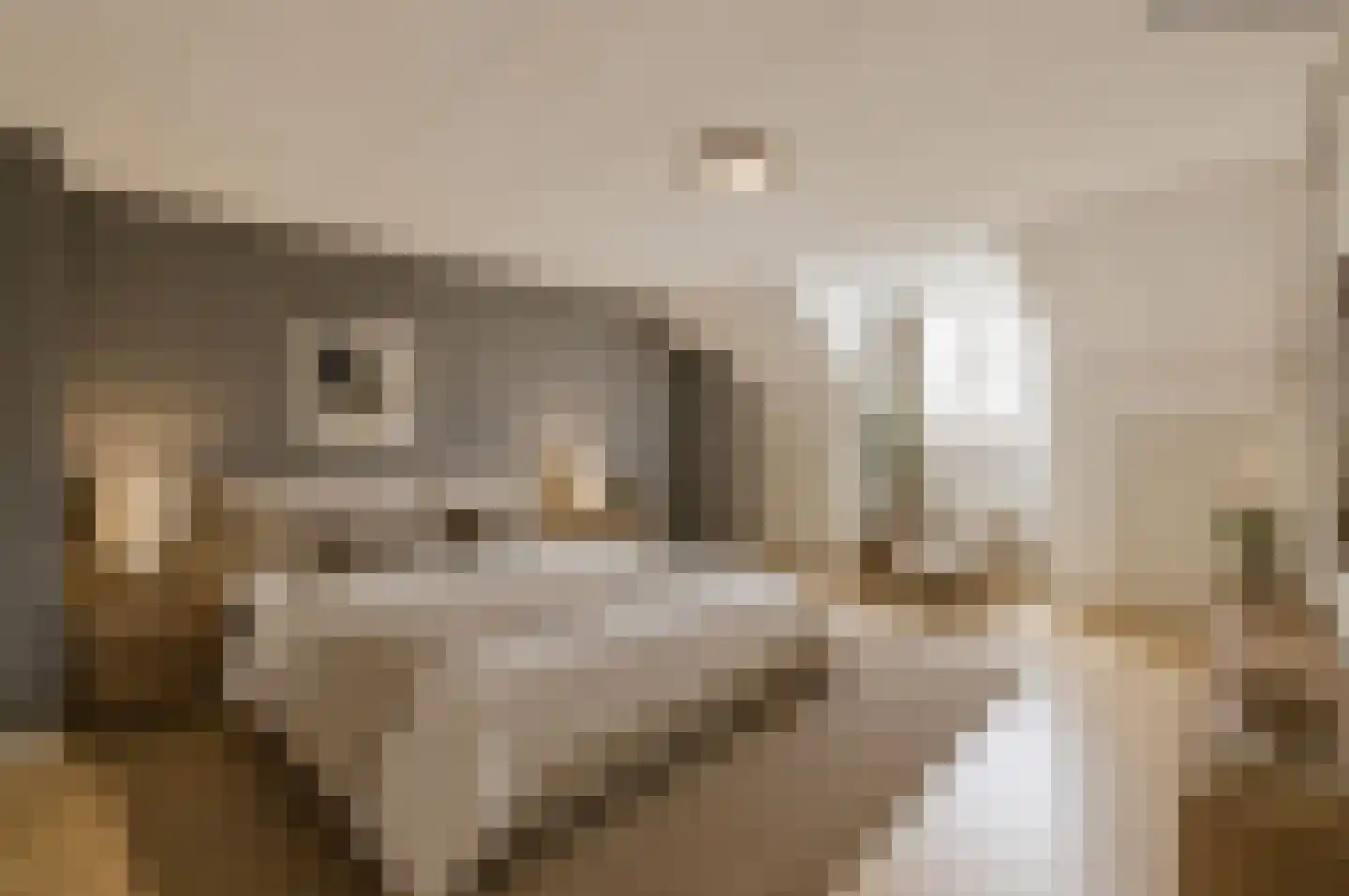 Nigtevechtseweg 19 Vreeland thumbnail 18
