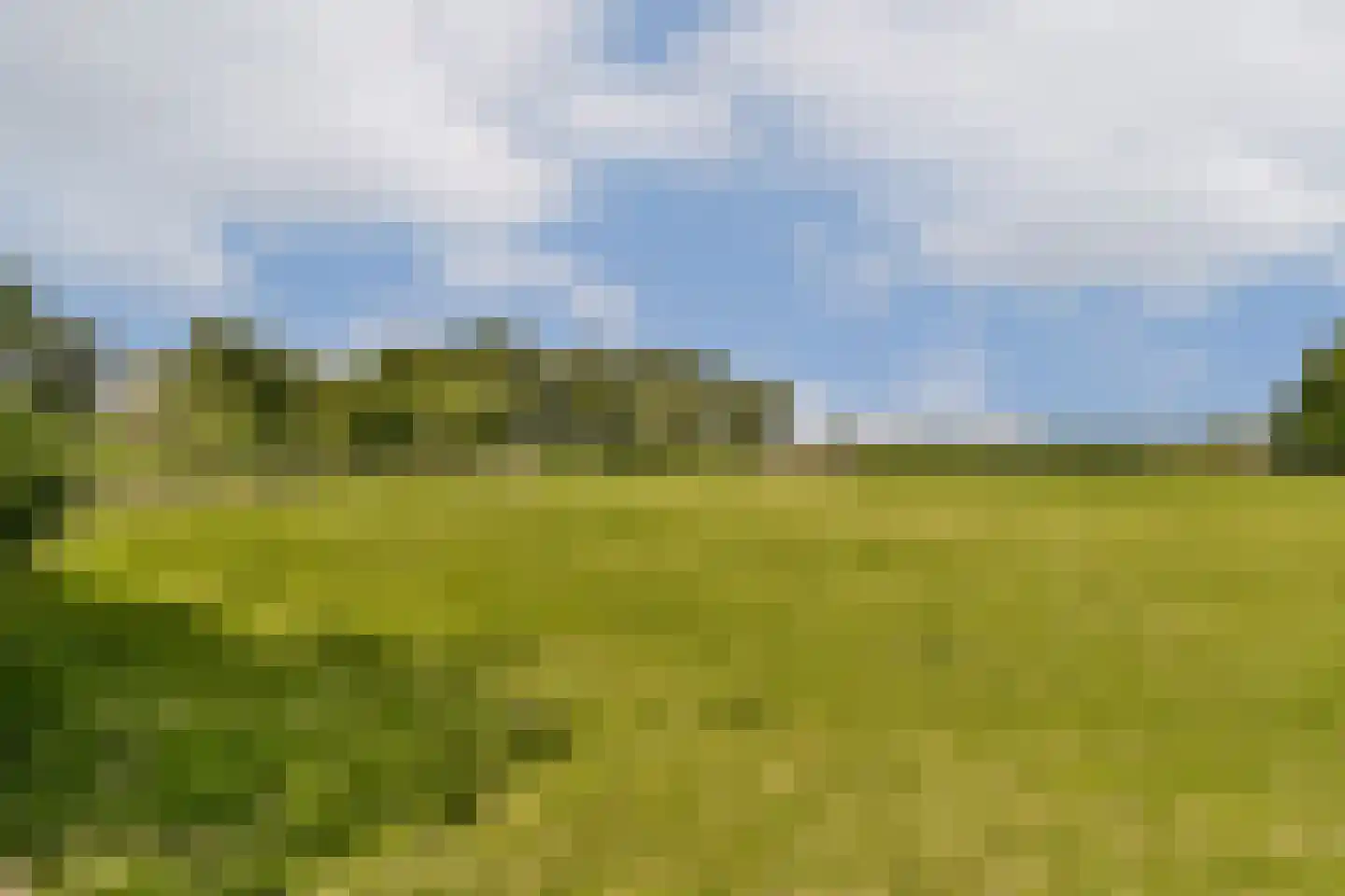 Nigtevechtseweg 19 Vreeland thumbnail 27