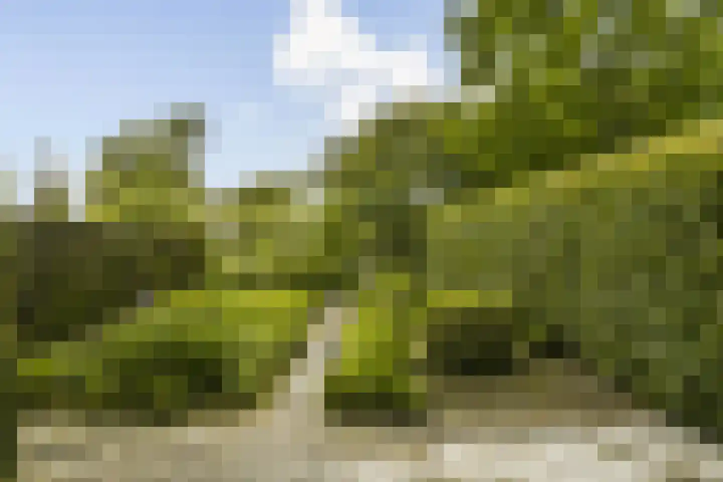 Nigtevechtseweg 19 Vreeland thumbnail 4