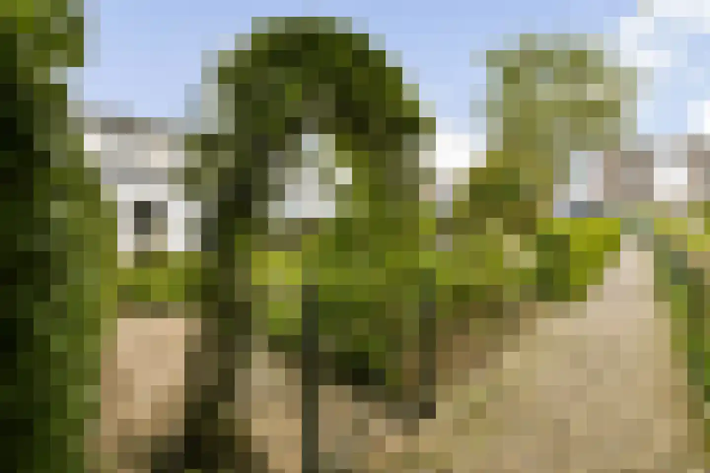 Nigtevechtseweg 19 Vreeland thumbnail 6