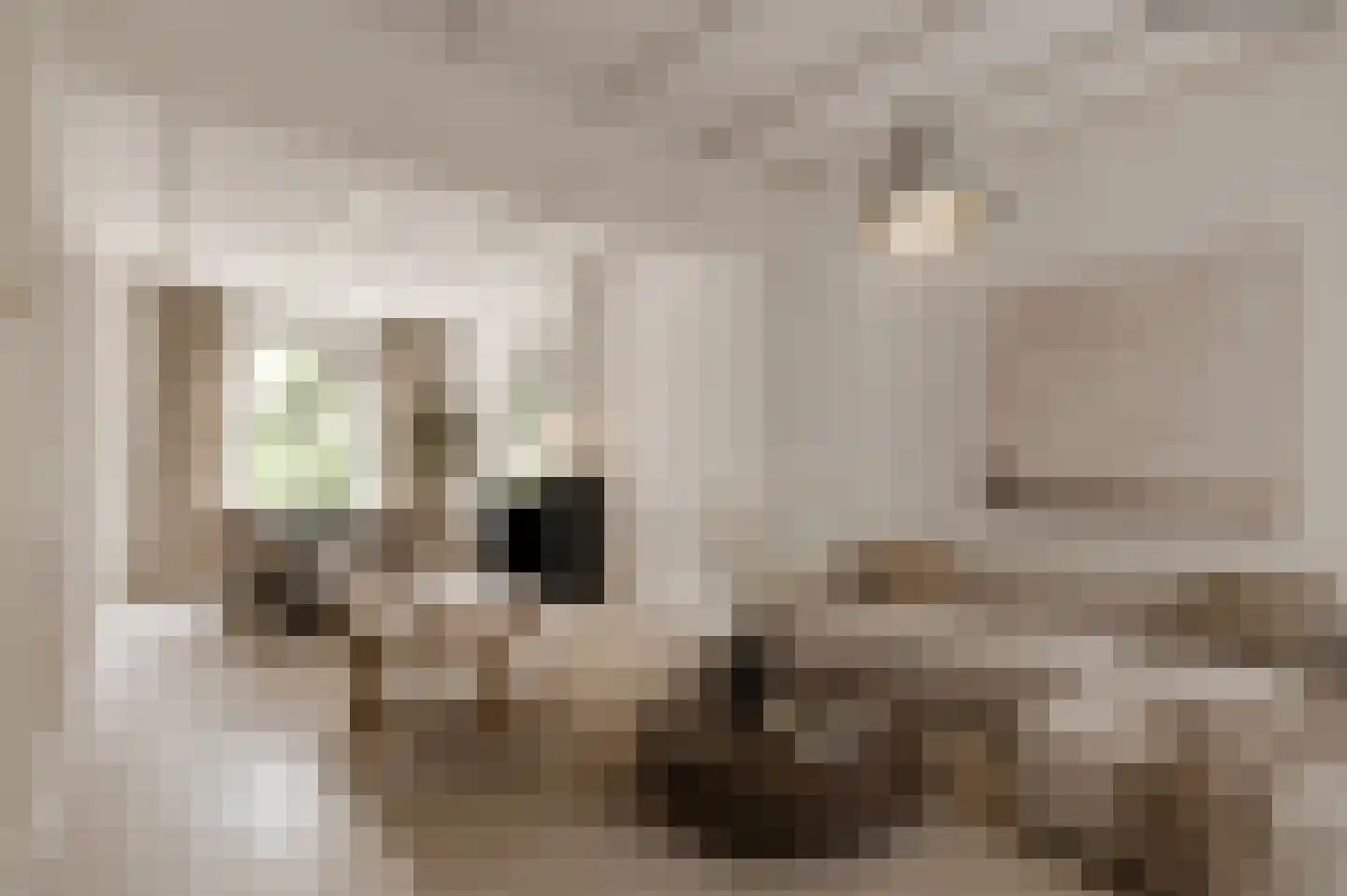 Nigtevechtseweg 19 Vreeland thumbnail 8