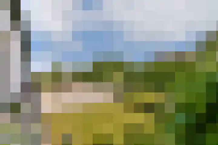 Nigtevechtseweg 23 Vreeland thumbnail 15