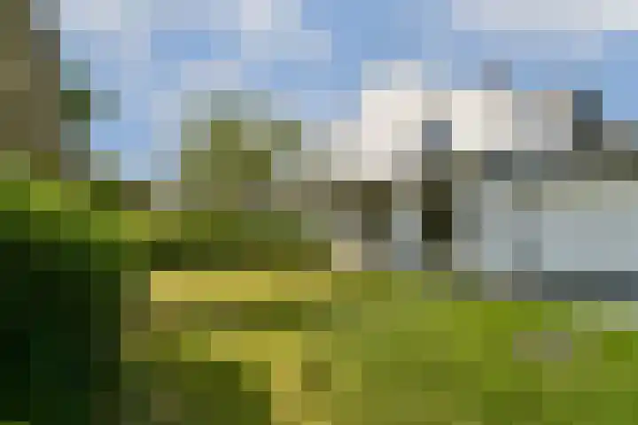 Nigtevechtseweg 23 Vreeland thumbnail 17