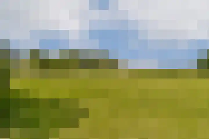 Nigtevechtseweg 23 Vreeland thumbnail 20