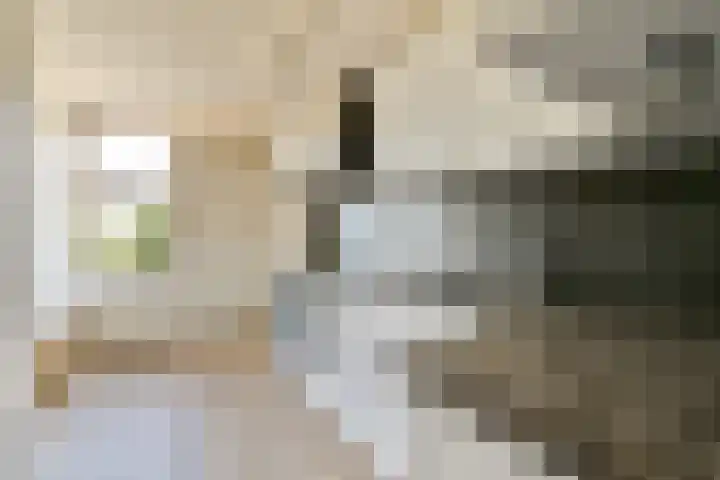 Nigtevechtseweg 23 Vreeland thumbnail 7