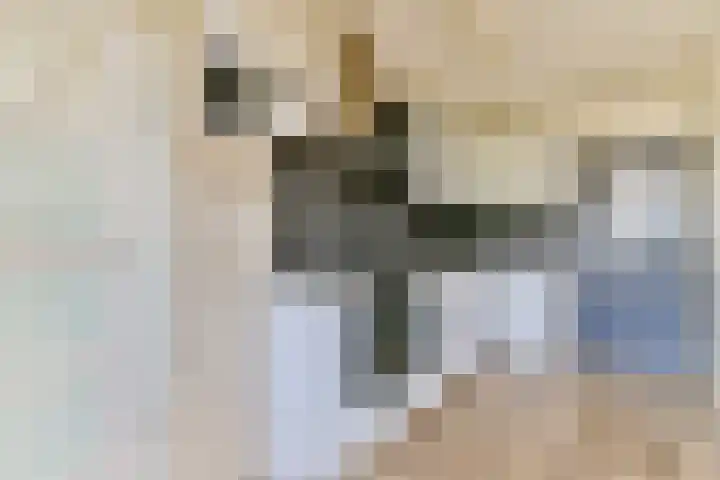 Nigtevechtseweg 23 Vreeland thumbnail 8