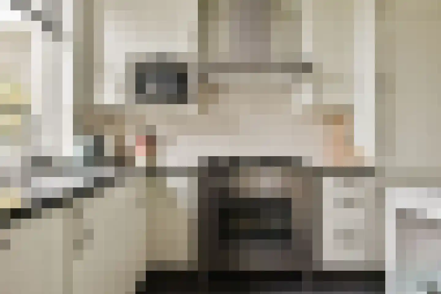 Nigtevechtseweg 38 Vreeland thumbnail 12