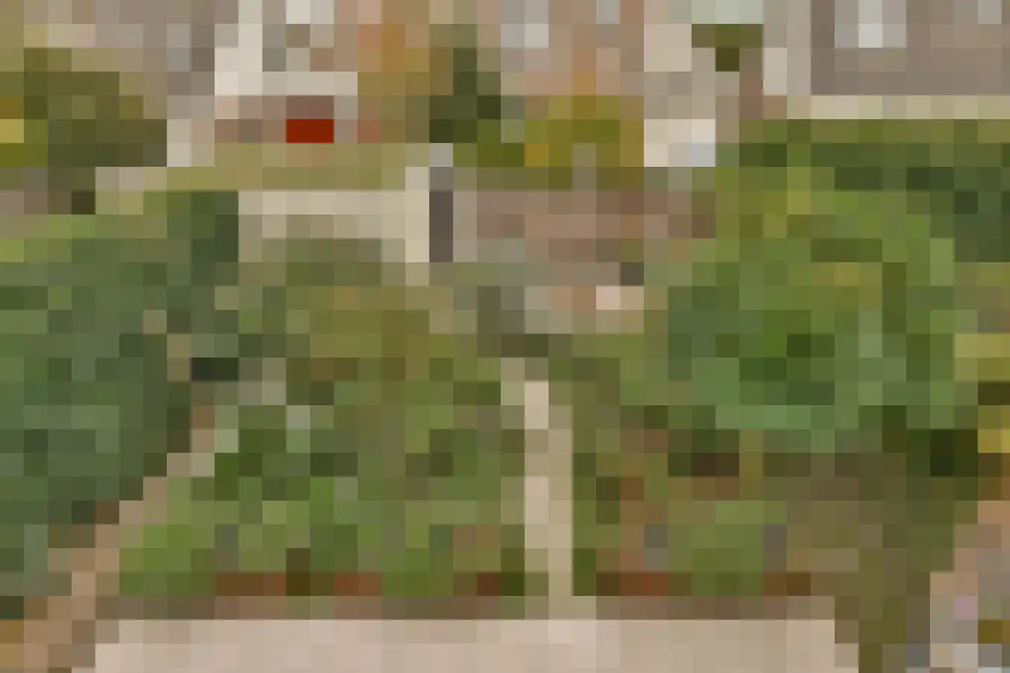 Nigtevechtseweg 38 Vreeland thumbnail 19