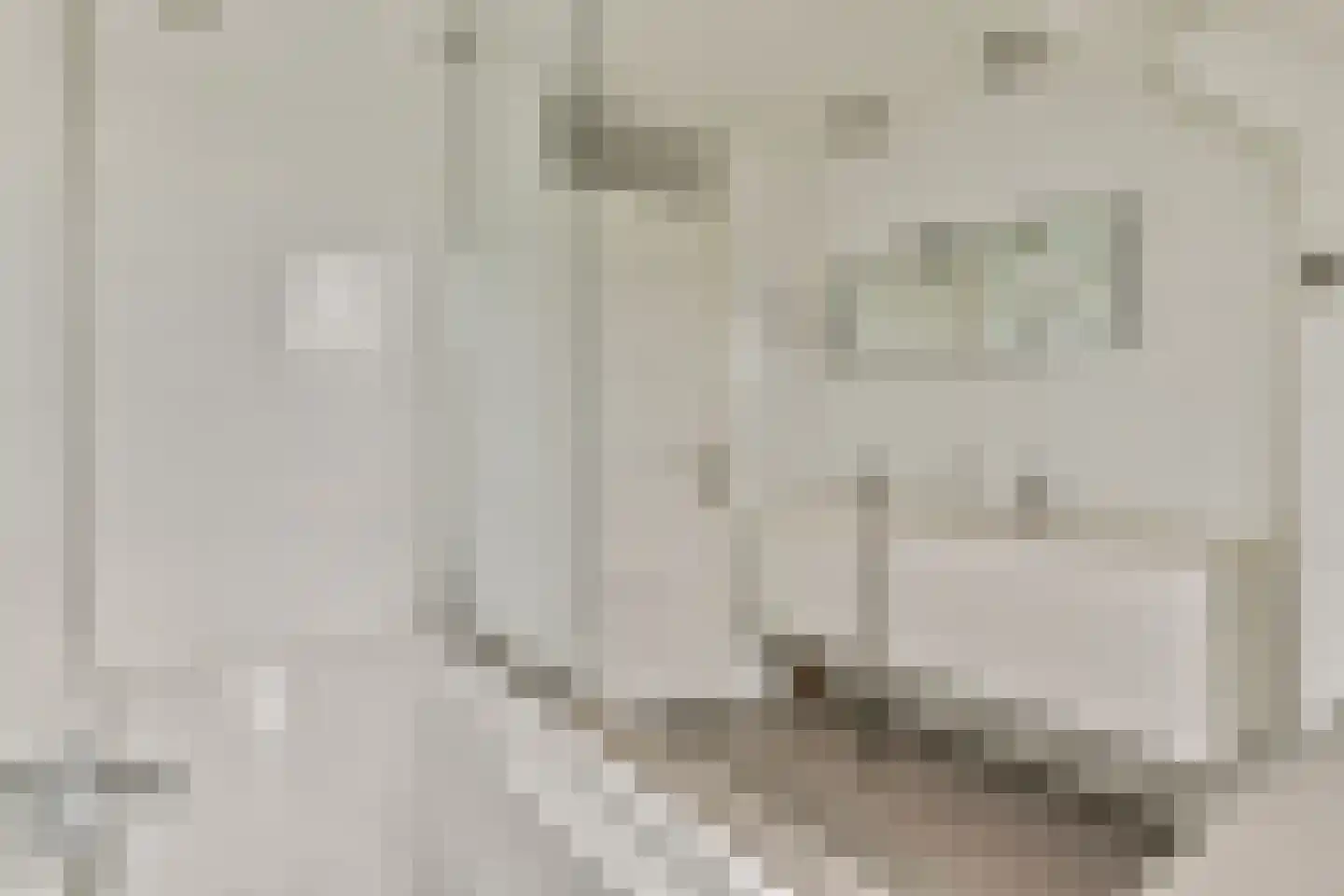 Nigtevechtseweg 38 Vreeland thumbnail 22
