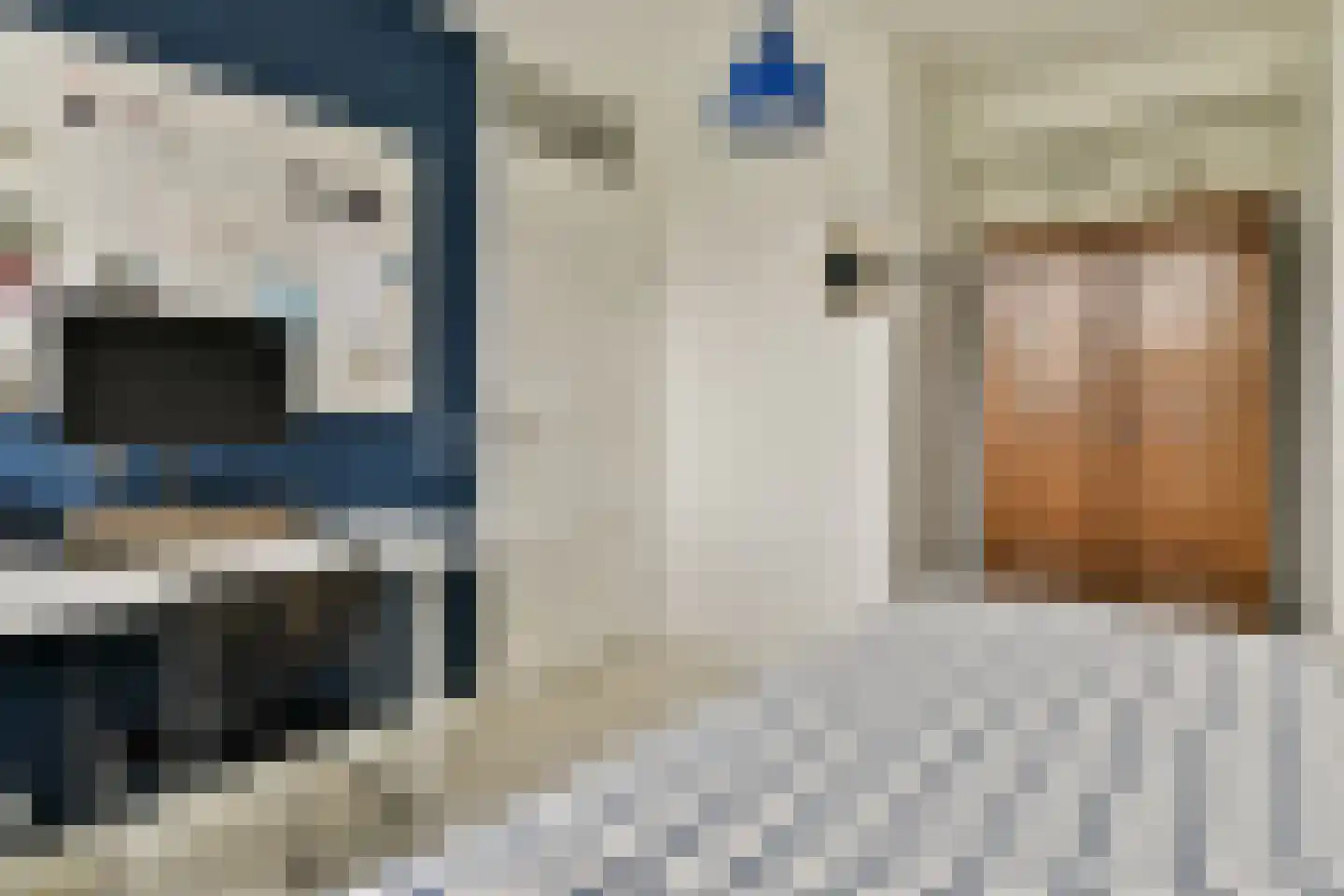Nigtevechtseweg 38 Vreeland thumbnail 26