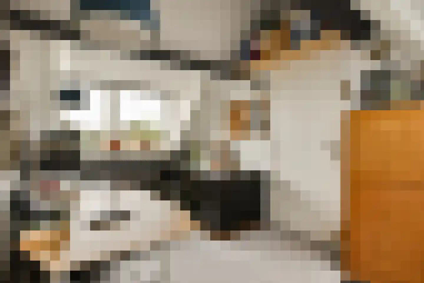 Nigtevechtseweg 38 Vreeland thumbnail 27