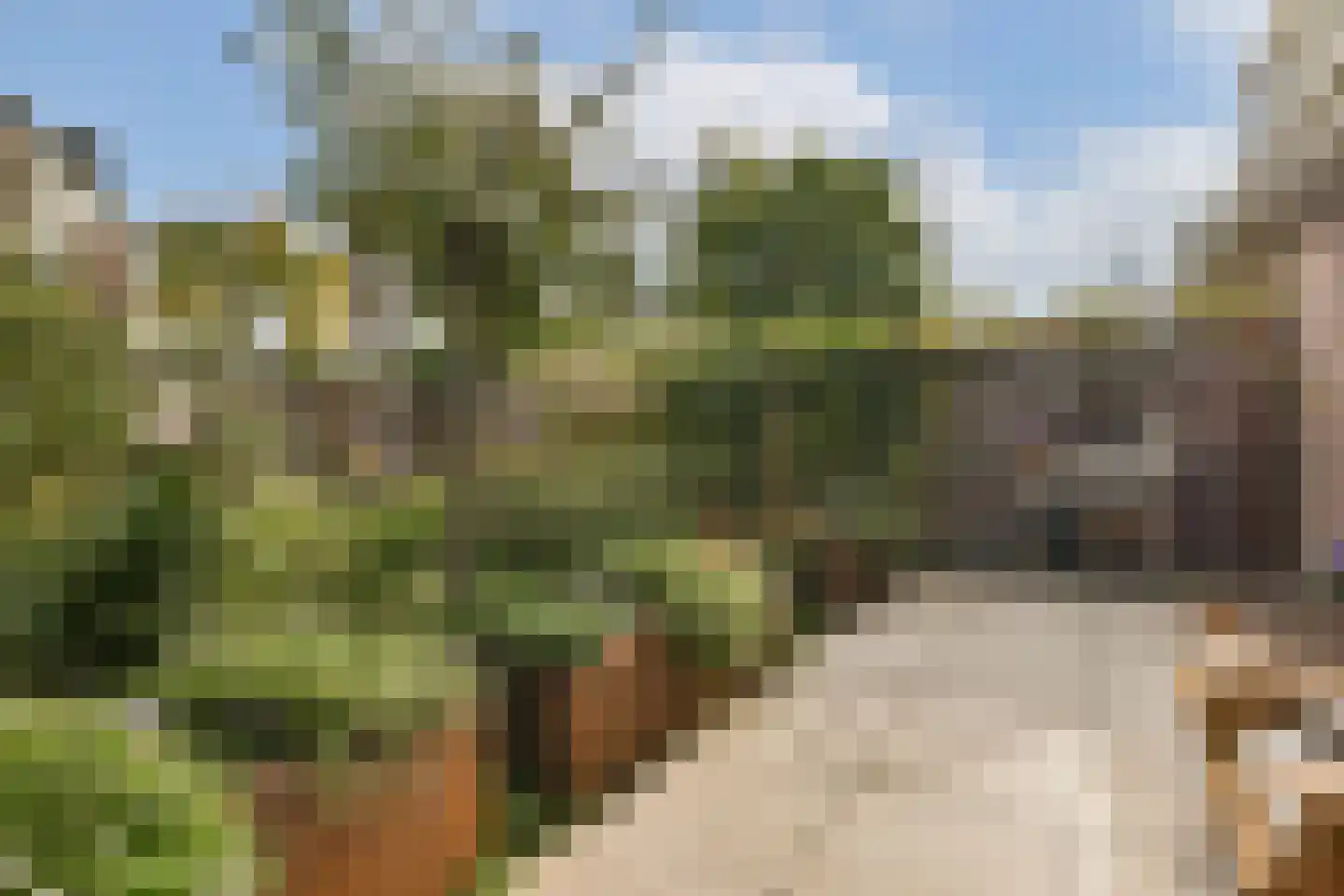 Nigtevechtseweg 38 Vreeland thumbnail 31