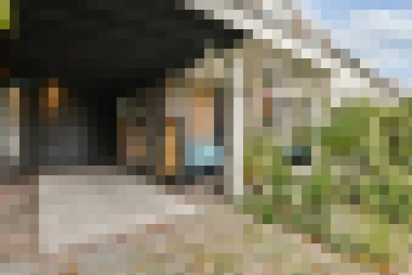 Nigtevechtseweg 38 Vreeland thumbnail 35