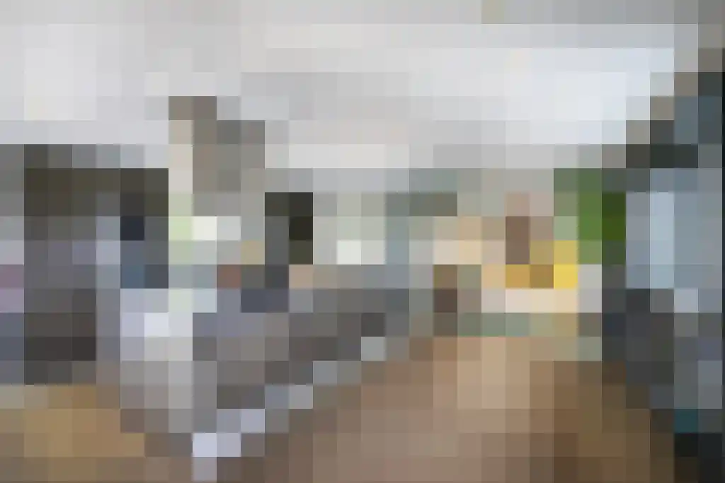 Nigtevechtseweg 82 ws Vreeland thumbnail 11
