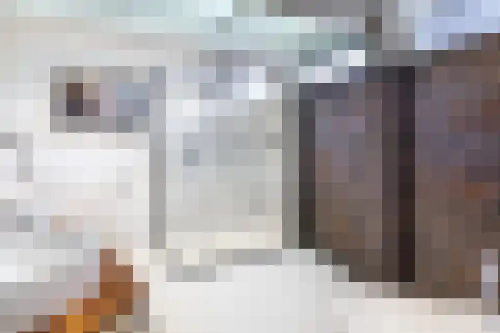 Nigtevechtseweg 82 ws Vreeland thumbnail 23