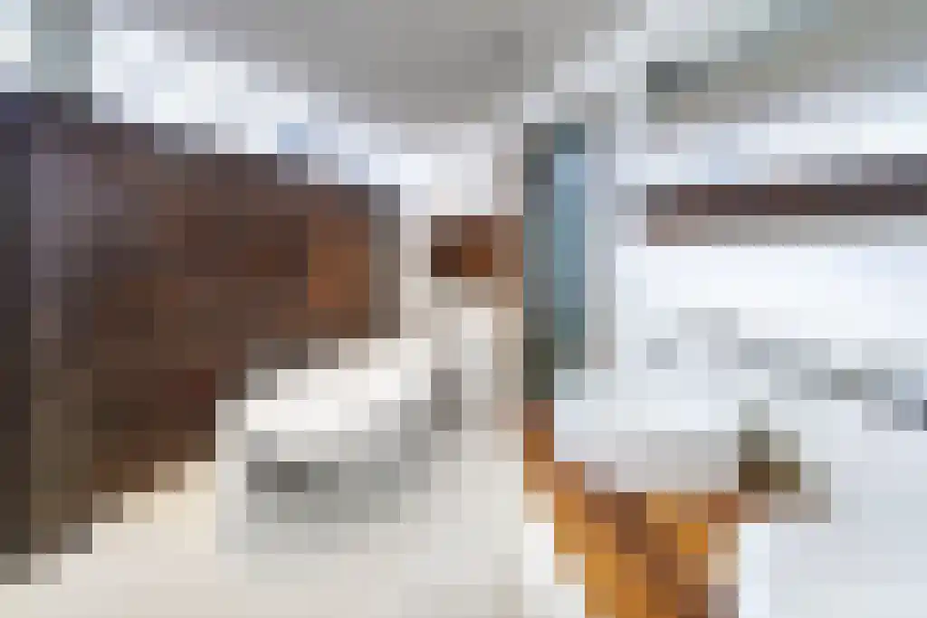 Nigtevechtseweg 82 ws Vreeland thumbnail 25
