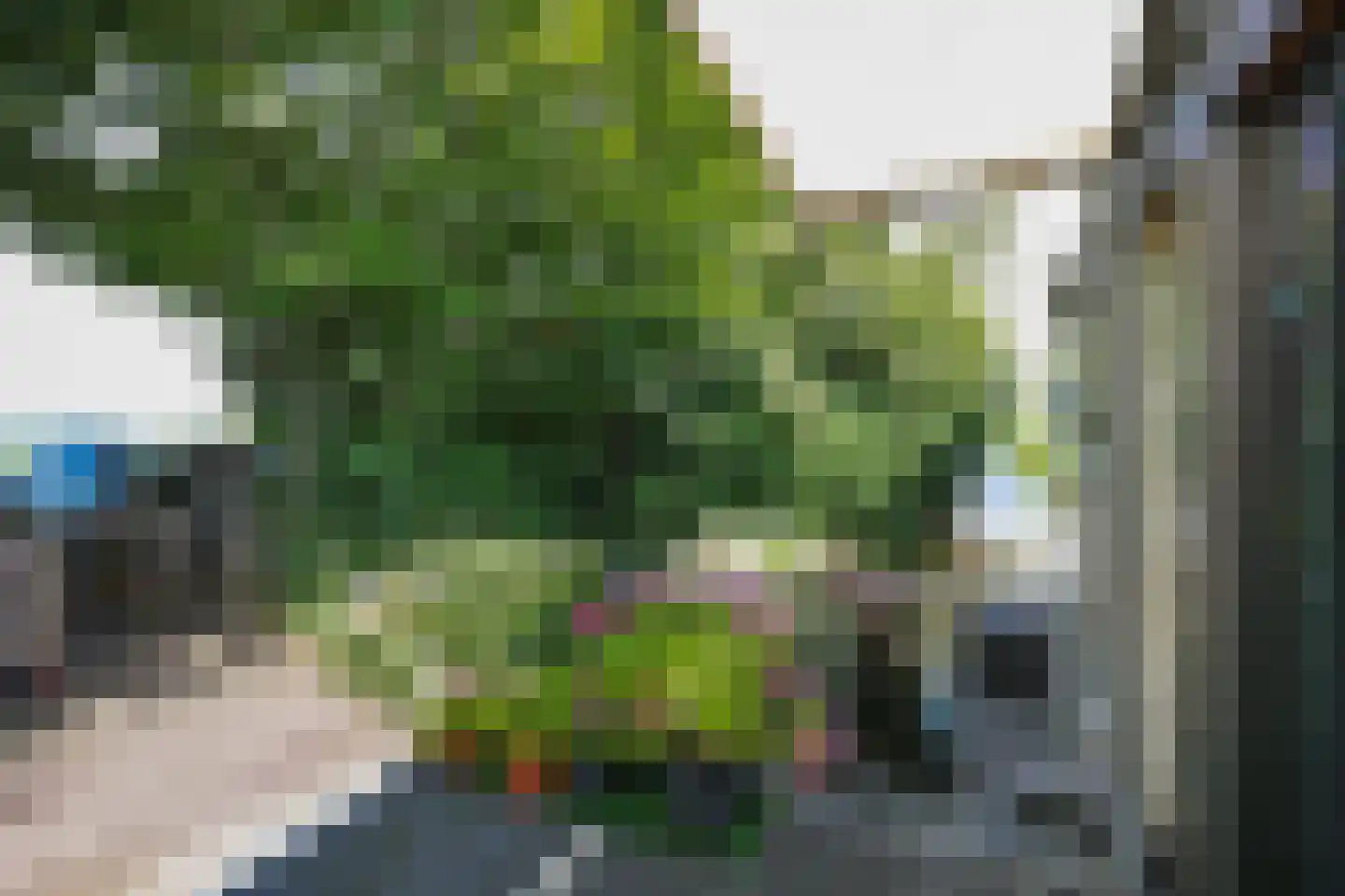 Nigtevechtseweg 82 ws Vreeland thumbnail 28