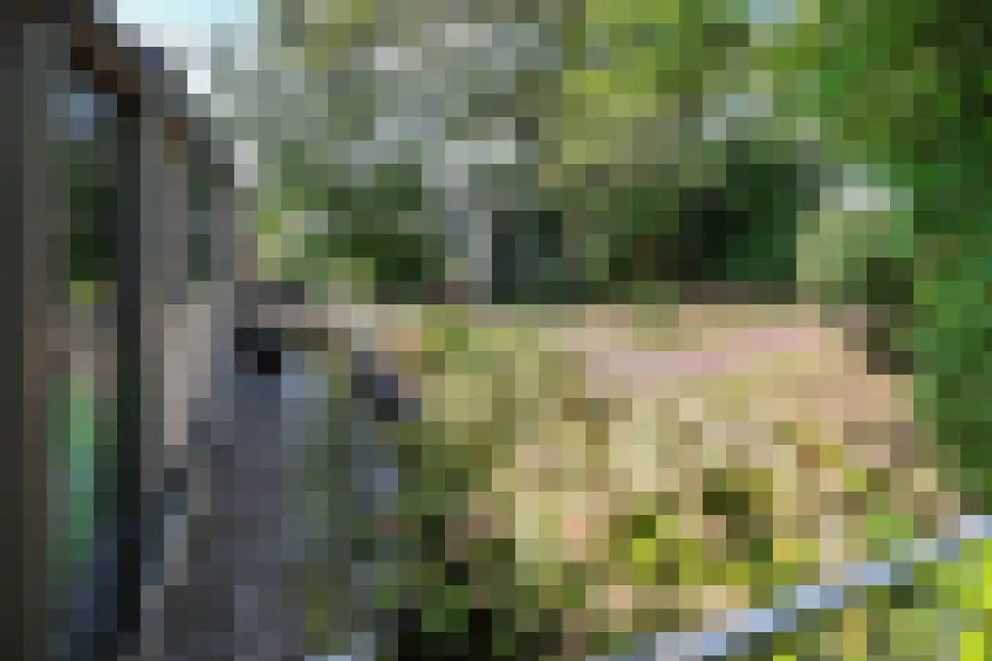 Nigtevechtseweg 82 ws Vreeland thumbnail 30