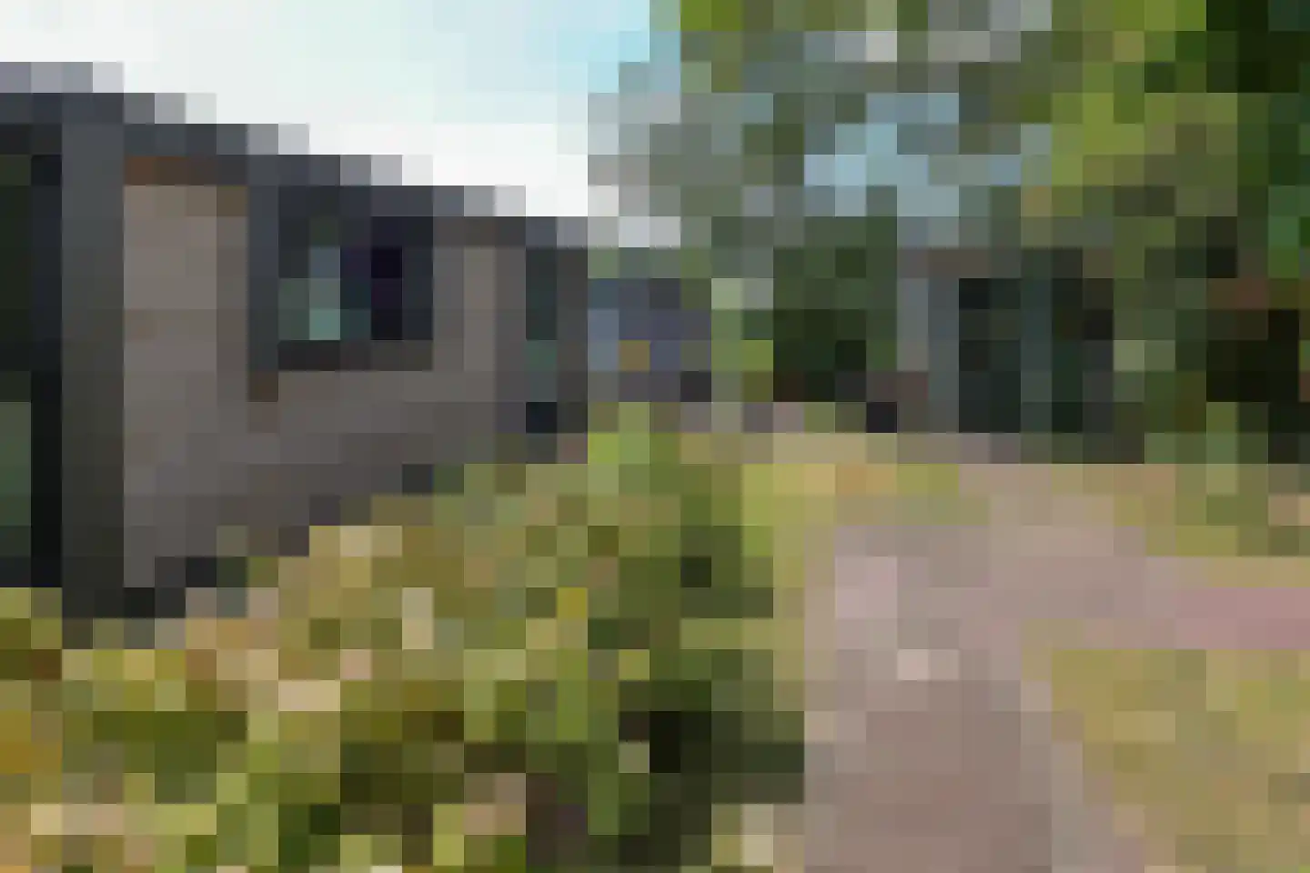 Nigtevechtseweg 82 ws Vreeland thumbnail 31