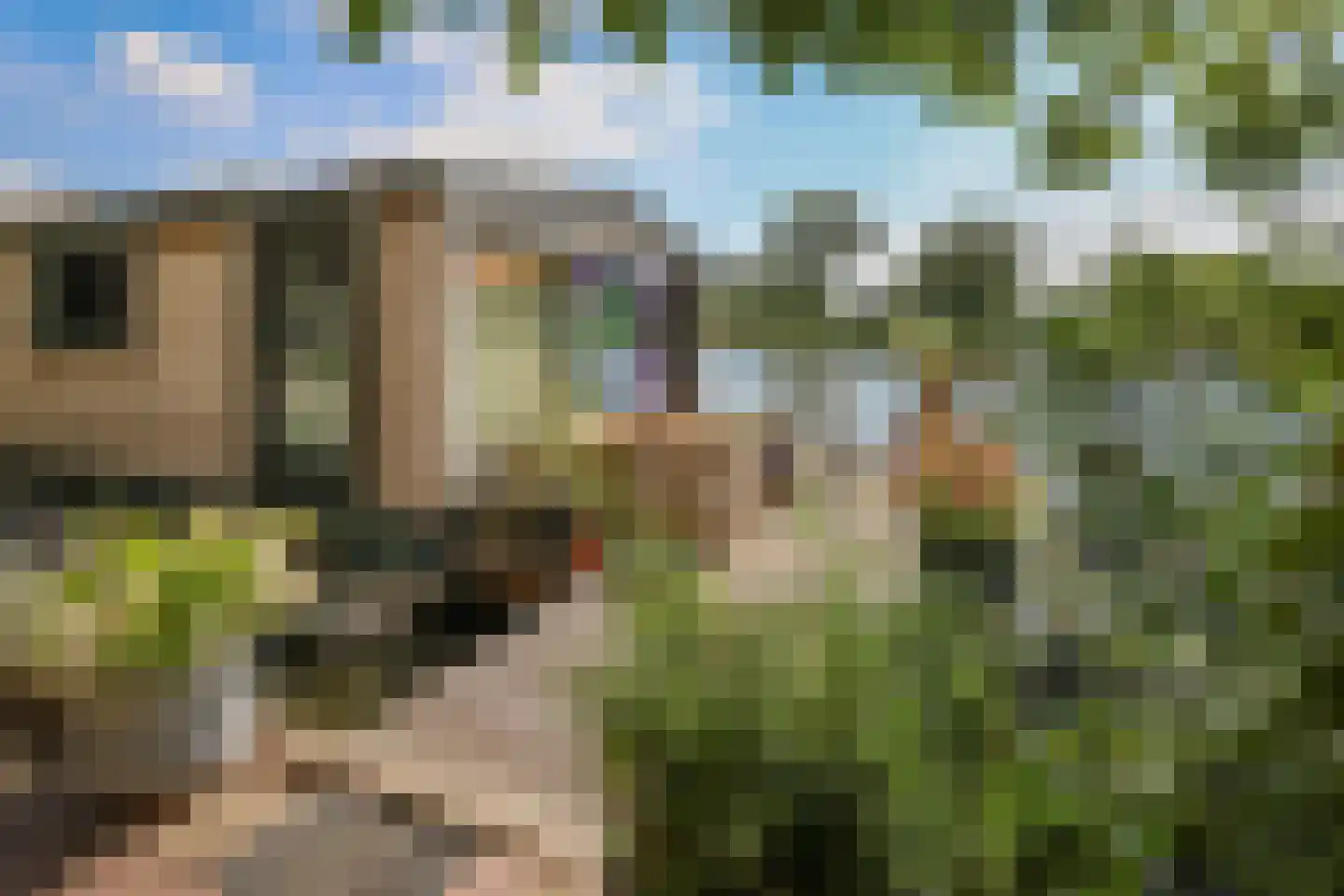 Nigtevechtseweg 82 ws Vreeland thumbnail 32