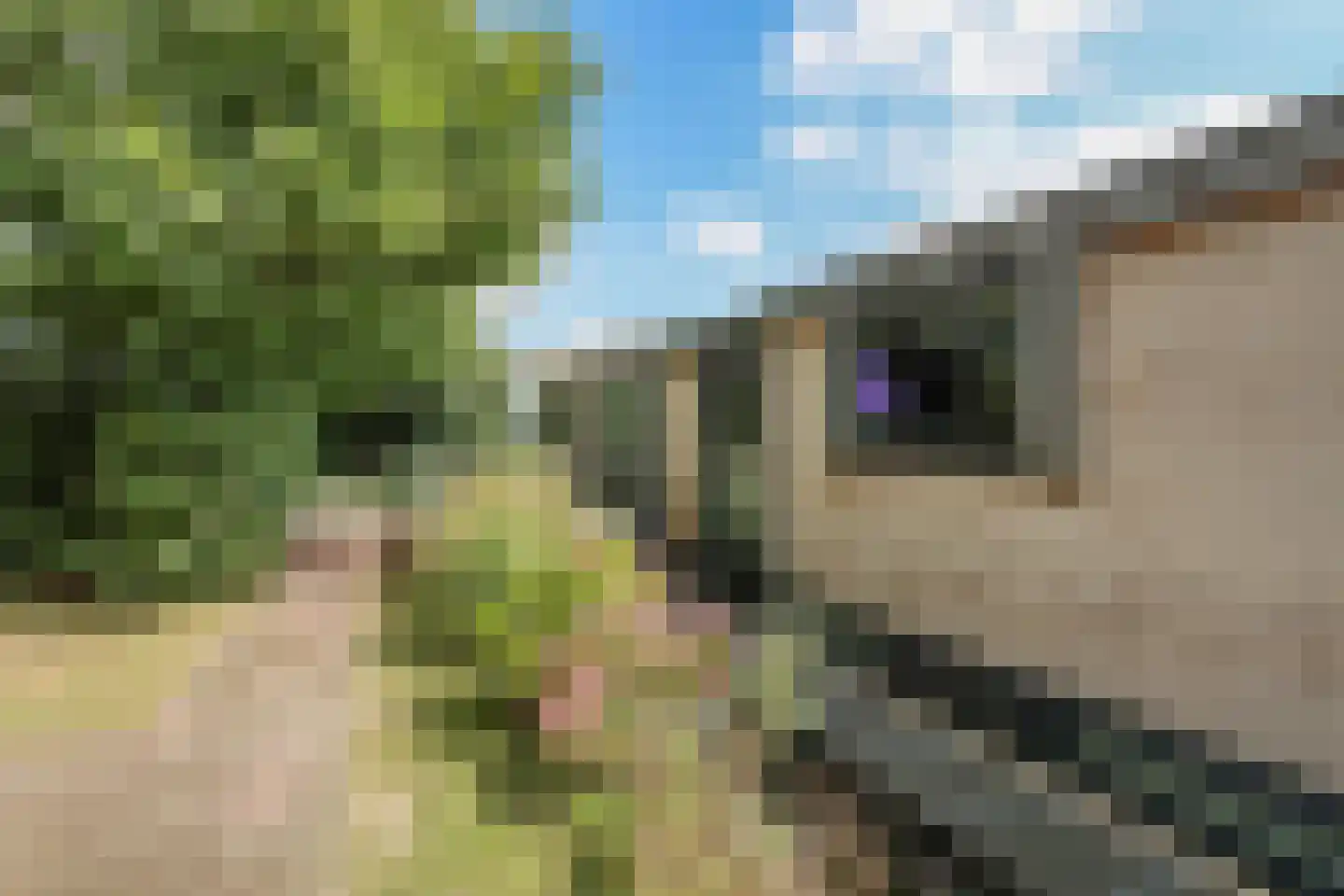 Nigtevechtseweg 82 ws Vreeland thumbnail 34