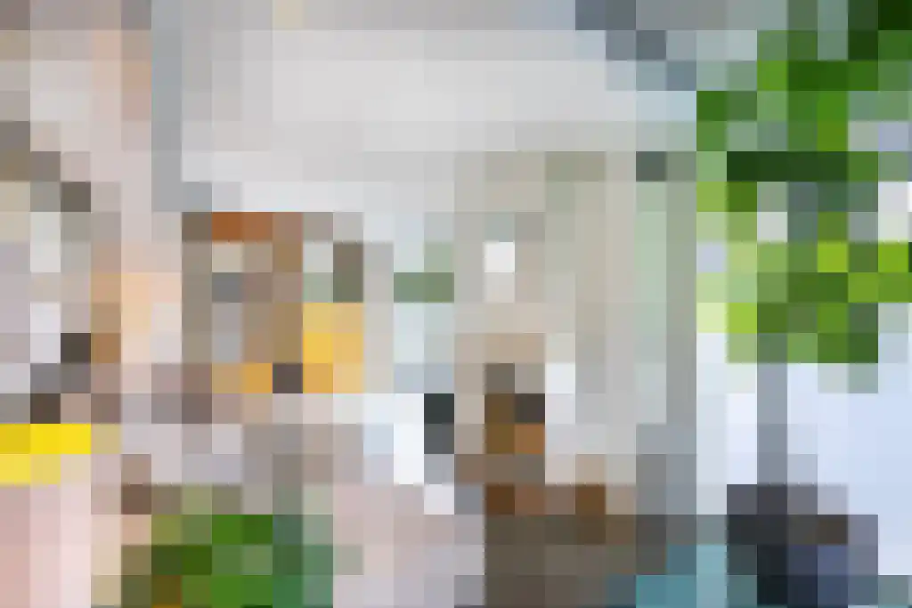 Nigtevechtseweg 82 ws Vreeland thumbnail 5
