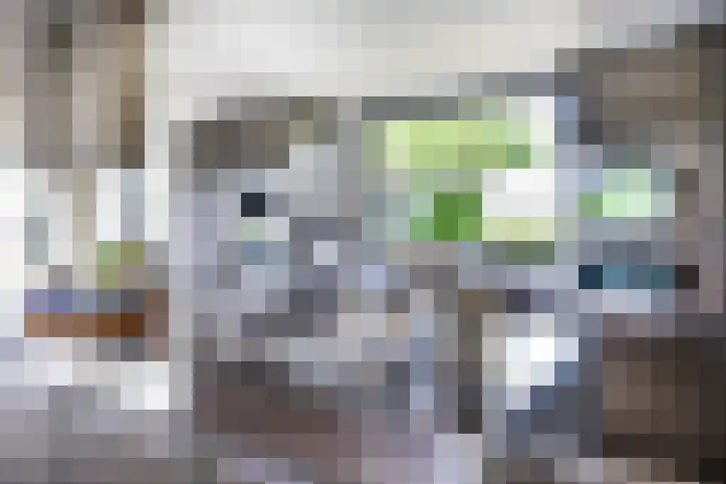 Nigtevechtseweg 82 ws Vreeland thumbnail 9