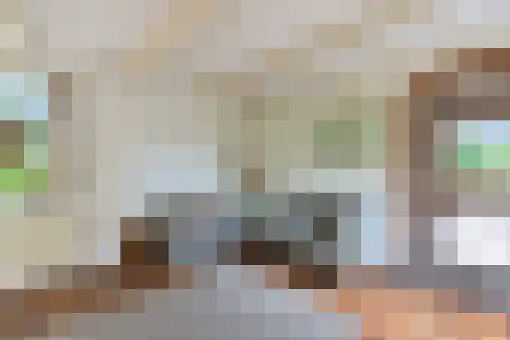 Nij Amerika 20 Nijemirdum thumbnail 10