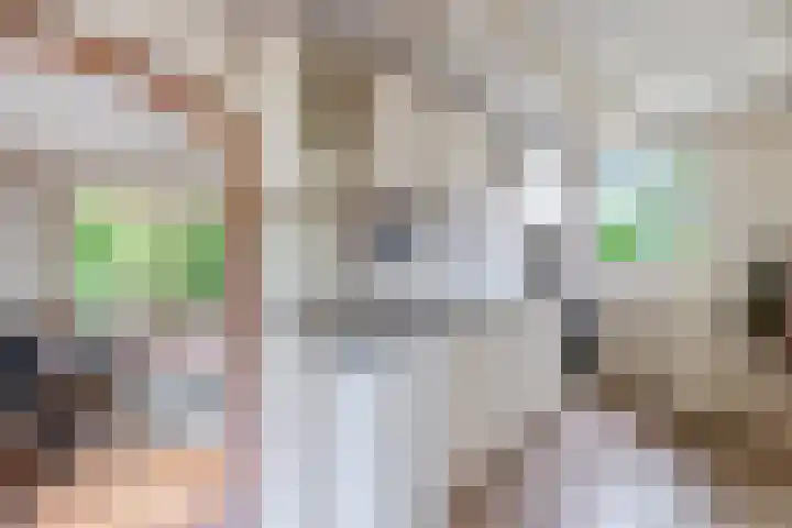 Nij Amerika 20 Nijemirdum thumbnail 11