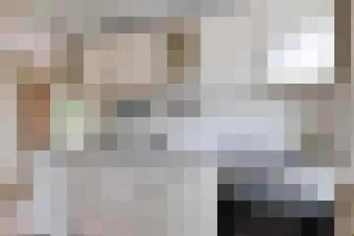 Nij Amerika 20 Nijemirdum thumbnail 12