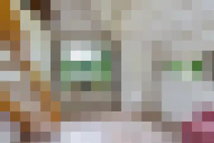Nij Amerika 20 Nijemirdum thumbnail 15