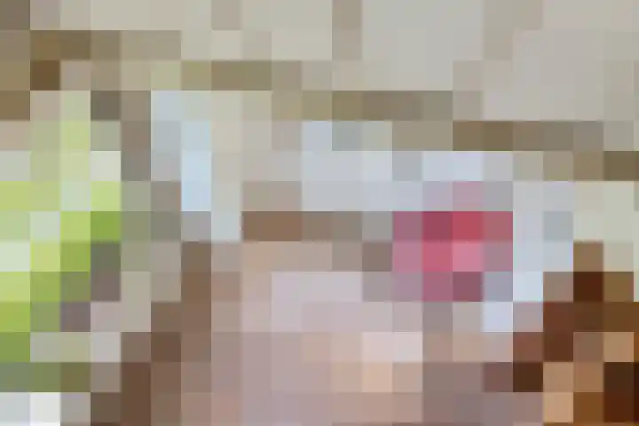 Nij Amerika 20 Nijemirdum thumbnail 18