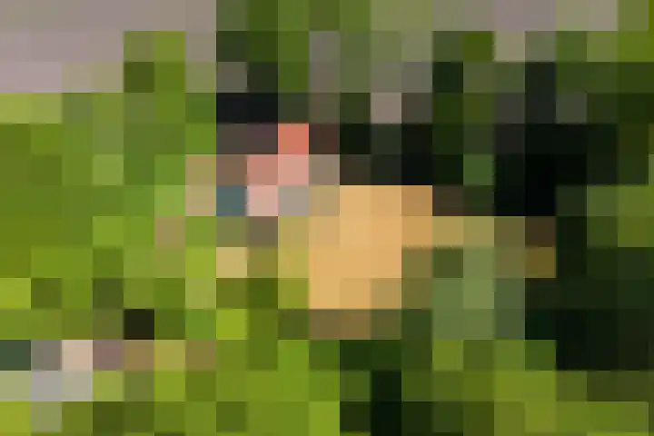Nij Amerika 20 Nijemirdum foto 2