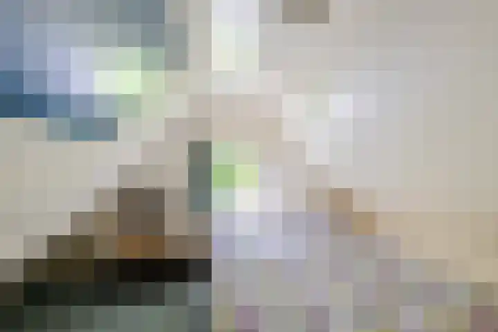 Nij Amerika 20 Nijemirdum thumbnail 23