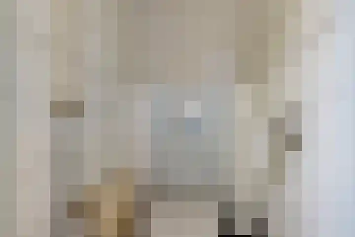 Nij Amerika 20 Nijemirdum thumbnail 25