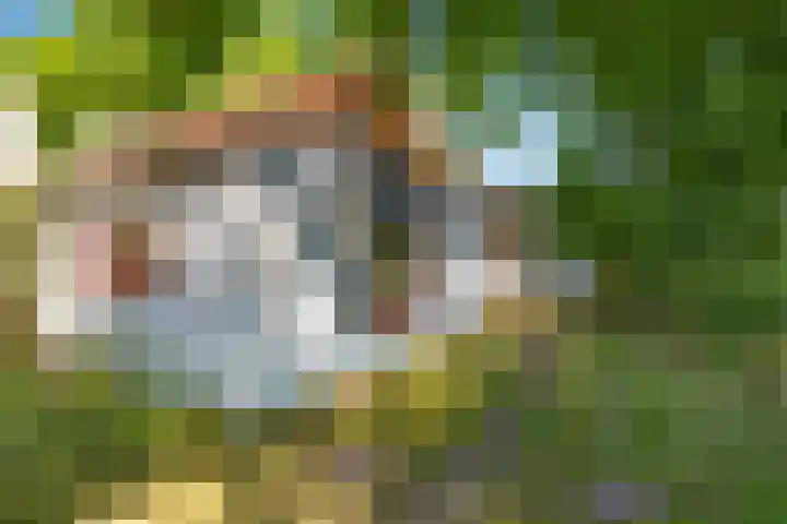 Nij Amerika 20 Nijemirdum thumbnail 31