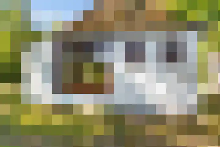 Nij Amerika 20 Nijemirdum thumbnail 32