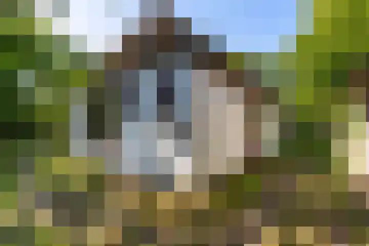 Nij Amerika 20 Nijemirdum thumbnail 33