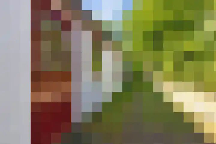 Nij Amerika 20 Nijemirdum thumbnail 34