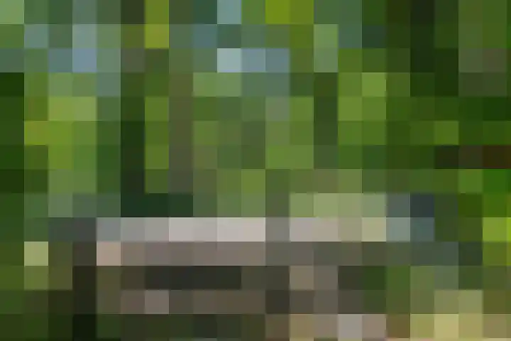 Nij Amerika 20 Nijemirdum thumbnail 35