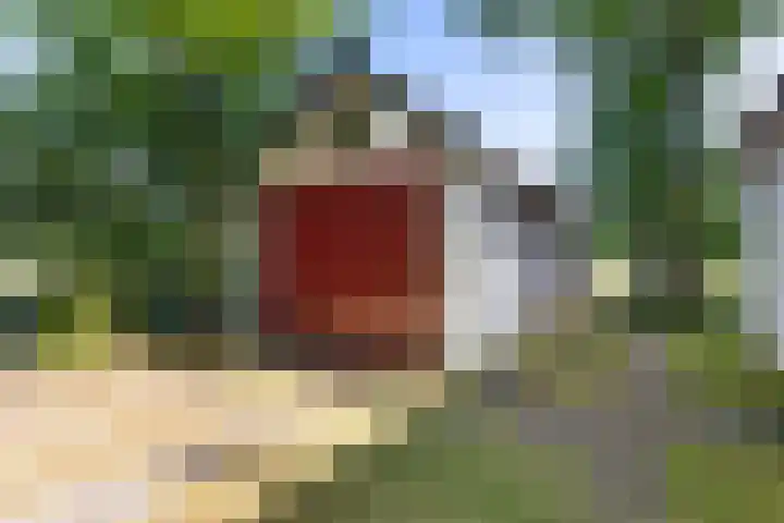 Nij Amerika 20 Nijemirdum thumbnail 36