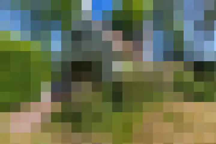Nij Amerika 20 Nijemirdum thumbnail 37