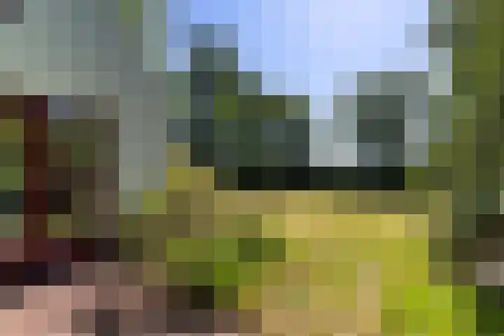 Nij Amerika 20 Nijemirdum thumbnail 38