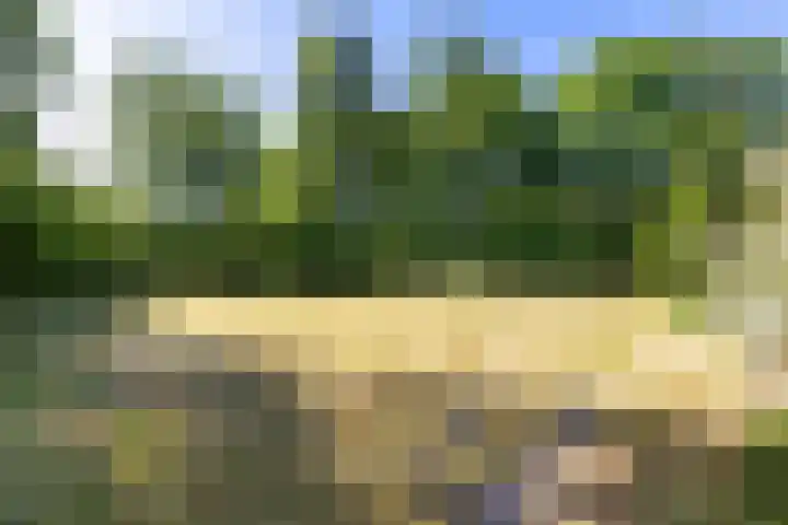 Nij Amerika 20 Nijemirdum thumbnail 39