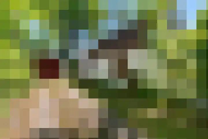 Nij Amerika 20 Nijemirdum thumbnail 4