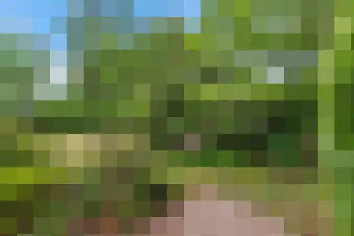 Nij Amerika 20 Nijemirdum thumbnail 40
